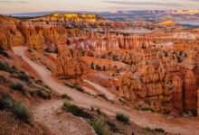 布莱斯峡谷日出在哪看?Hoodoos 观景点与 Navajo Loop 徒步攻略-美国通