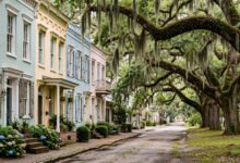 Charleston vs Savannah南方古城二选一：历史街区美食住宿全对比-美国通