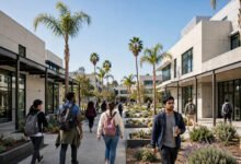 社区大学转 UC/CSU:TAG 保录协议、IGETC 与 GPA 门槛全解-美国通