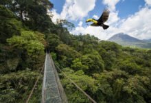 哥斯达黎加旅行全攻略：签证、最佳季节、国家公园与火山行程规划-美国通