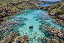 夏威夷浮潜全攻略:Hanauma Bay 预约抢位、装备租赁与安全须知-美国通