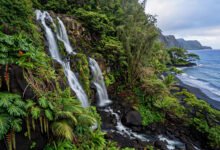 茂宜岛深度游全攻略:哈纳之路、火山口日出与海滩怎么选-美国通