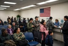 加州 DMV 要吊销你驾照?negligent operator 积分认定、听证会流程与 restricted license 自救-美国通