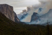 优胜美地Dome山火持续燃烧：已超5200英亩、冰川点公路关闭，秋游计划要调整-美国通