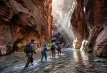 锡安 Narrows 溯溪 + 天使降临抽签：2026年许可证时间表与装备清单-美国通