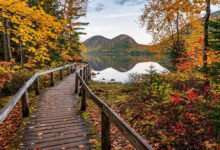 阿卡迪亚 Jordan Pond 怎么玩?环湖步道、Popover 下午茶与 Ocean Path 海岸线一次讲清-美国通