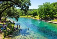 奥斯汀 Barton Springs 天然泳池：门票、水温、带娃全解-美国通