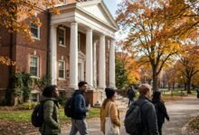大学 Title IX 投诉全解:性骚扰举报流程、学生权利与学校听证-美国通