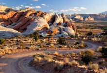 Capitol Reef 国家公园值得专程去吗?红色穹顶、果园采摘与 24 号景观公路全攻略-美国通