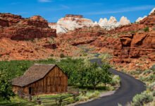 Capitol Reef 景观大道：果园、峡谷与 Scenic Drive 自驾-美国通