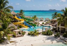 加勒比邮轮私人岛屿全解：CocoCay、Ocean Cay、Half Moon Cay 怎么选-美国通