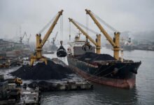 中国9月煤炭进口下降6%，电厂库存高企-美国通