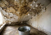 公寓楼上漏水把我家淹了:HOA、楼上业主、保险三方责任划分与索赔顺序-美国通