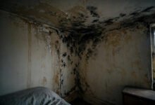 公寓发霉房东不管怎么办:加州居住适宜性权利与 constructive eviction 维权全解-美国通
