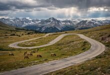 丹佛出发落基山国家公园一日游:Trail Ridge Road、Estes Park 怎么安排最顺-美国通