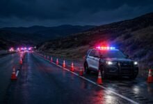 加州 DUI 第二次被抓:10 年回溯期、强制坐牢与驾照吊销 2 年-美国通