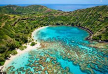 恐龙湾 Hanauma Bay 浮潜:要预约抢位,周二闭园别跑空-美国通