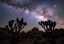 约书亚树国家公园观星全攻略:暗夜保护区、最佳月份与机位、银河拍摄入门-美国通