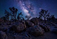 约书亚树国家公园:星空拍摄、攀岩体验与 Twentynine Palms 住宿攻略-美国通
