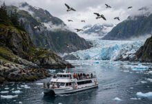 Kenai Fjords 一日游船全攻略:Seward 出发、6 小时 vs 8 小时怎么选-美国通