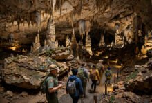 猛犸洞哪种 tour 值得报?Historic、Domes 与 Wild Cave 对比-美国通