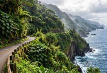 茂宜岛Hana之路：64英里盘山路，几点出发、哪几个停靠点最值得-美国通