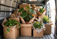 跨州搬家绿植能带吗：加州 16 个农业检查站与 USDA 检疫-美国通