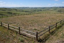 只买地不盖房，银行凭什么借你钱？Land Loan 土地贷款全解-美国通