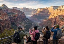 锡安东门 Canyon Overlook 步道:1 英里看峡谷全景、Checkerboard Mesa 与东门进园攻略-美国通