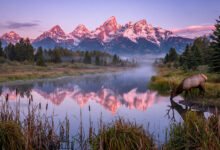 大提顿 Schwabacher Landing 日出:拍雪山倒影几点到、麋鹿与机位选择全解-美国通