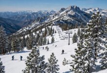 加州滑雪去哪?Mammoth、Palisades Tahoe、Heavenly北加三大雪场对比-美国通