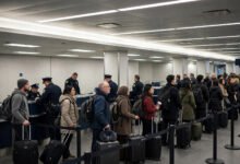 父母英语不好,过海关被叫进小黑屋怎么办?-美国通