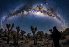 Joshua Tree 星空拍摄:银河季和机位有哪些?-美国通