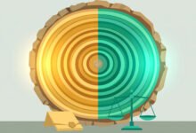 美国遗产税和赠与税是什么关系?终身免税额共用规则-美国通