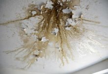楼上漏水淹了楼下,责任算谁的?租客房东 HOA 保险四方划分全解-美国通
