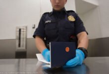我签了 I-407 放弃绿卡,配偶和孩子的绿卡会被连带取消吗?-美国通