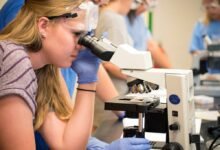孩子想当医生,美国本科 premed 怎么规划?MCAT 与医学院申请时间线-美国通