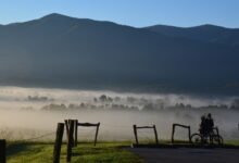 大烟山 Cades Cove 无车星期三：11 英里环路骑行、租车与看熊攻略-美国通