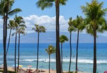 茂宜岛住西边还是南边?Ka'anapali vs Wailea 海滩酒店全对比-美国通