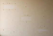租房能打孔挂画、刷墙吗?Normal Wear 与押金扣除分界线-美国通