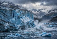 基奈峡湾国家公园怎么去?Seward冰川游船、Exit Glacier徒步与免费入园实务-美国通