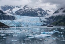 阿拉斯加邮轮冰川二选一:Glacier Bay vs Hubbard 航线对比-美国通