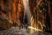 锡安 Narrows 溯溪水位多少能下？150cfs 关闭红线、USGS 查水位与租装备实务-美国通