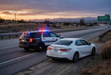 美国自驾被警察拦下怎么办?停车动作、罚单处理全解-美国通