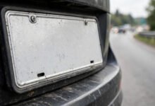美国车牌被套牌了怎么办？罚单申诉、DMV 换牌与报警全流程-美国通