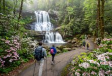 大烟山 Laurel Falls 瀑布值得去吗?最亲民瀑布步道与修复重开实务-美国通