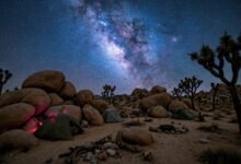 约书亚树 Jumbo Rocks 营地怎么抢？先到先得营地与观星实务-美国通