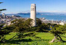 旧金山 Coit Tower 值得登吗?电报山壁画、鹦鹉群与电梯票实务-美国通
