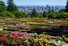 波特兰国际玫瑰园免费吗?Washington Park 一日串联-美国通