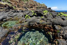 欧胡岛东海岸 Makapu'u 潮汐池:退潮时间查法与徒步实务-美国通